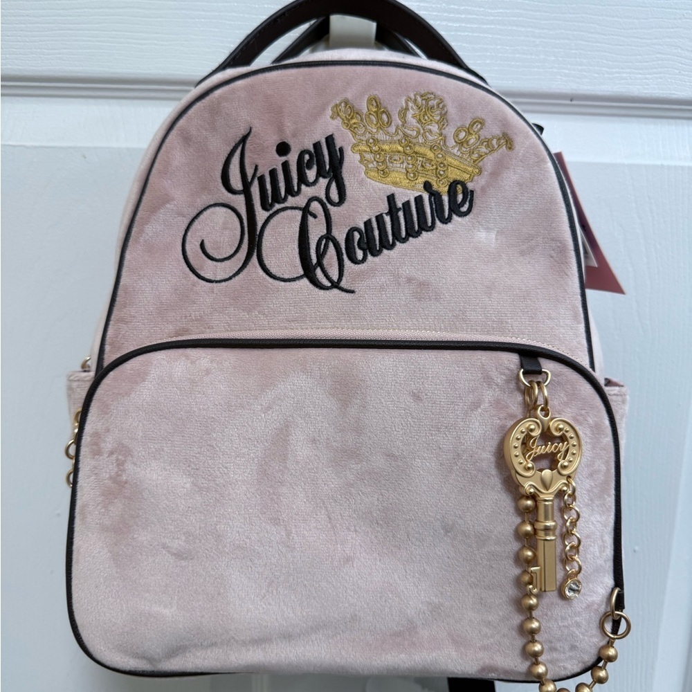 NWT “The Key to Juicy” Medium Backpack in Dusty Blush